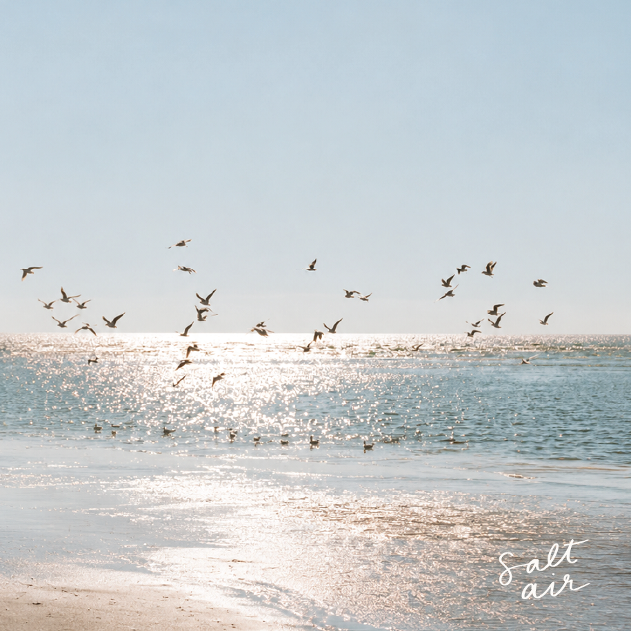 Salt Air