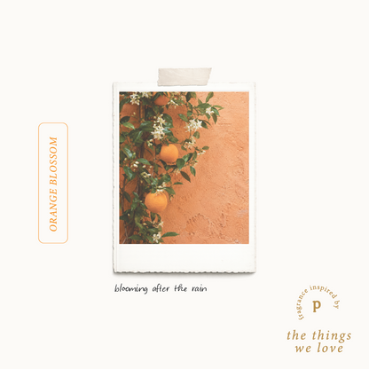 Orange Blossom